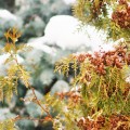 DSC05019 1280x853